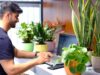 Best Indoor Plants for Offices and Workspaces Best Indoor Plants for Offices and Workspaces