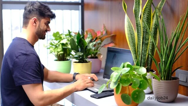 Best Indoor Plants for Offices and Workspaces Best Indoor Plants for Offices and Workspaces