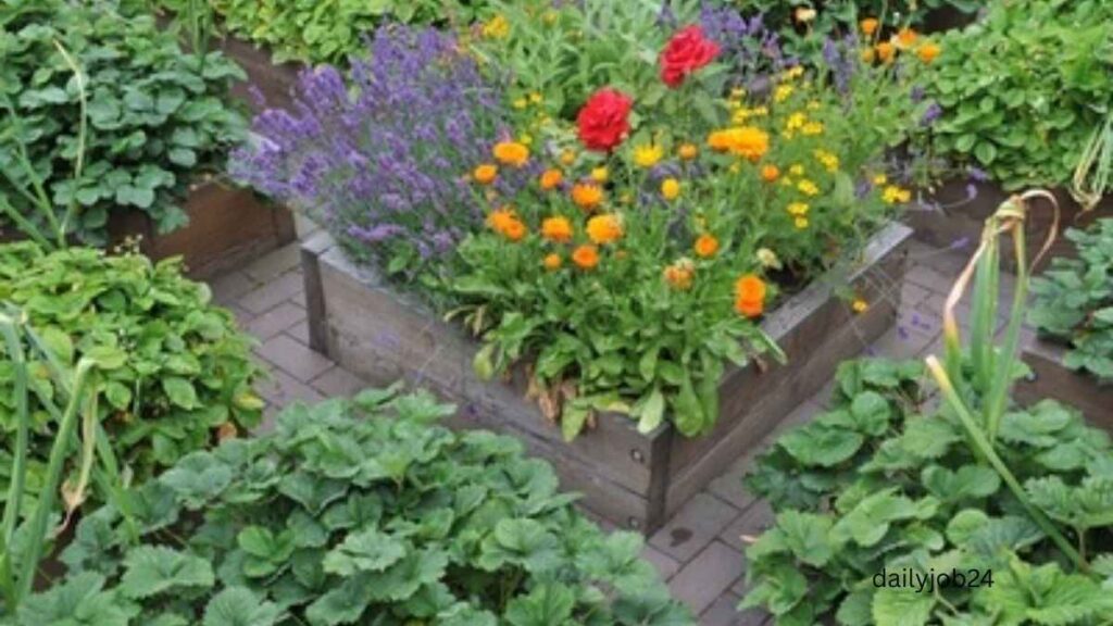 Best Plants to Grow in Summer