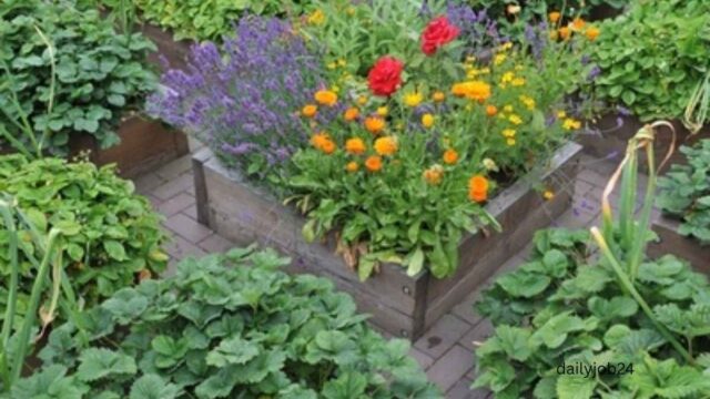 Best Plants to Grow in Summer