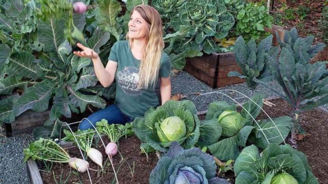 Best Plants to Grow in Winter