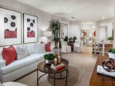 Best indoor plants for apartments Best indoor plants for apartments