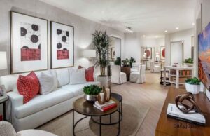 Best indoor plants for apartments Best indoor plants for apartments