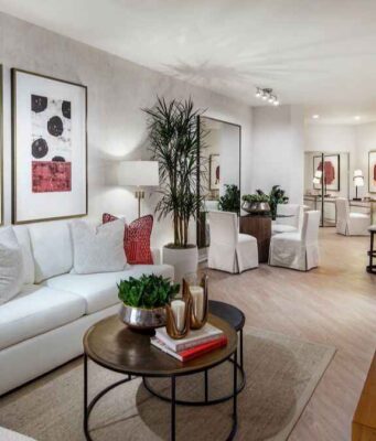 Best indoor plants for apartments Best indoor plants for apartments