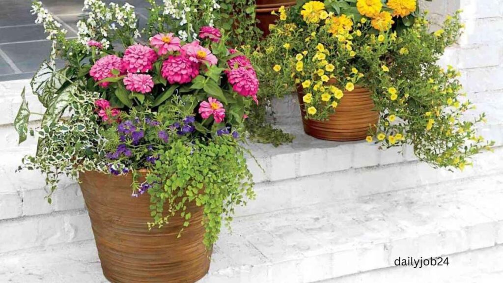 Best plants for hot climates (summer-friendly plants)