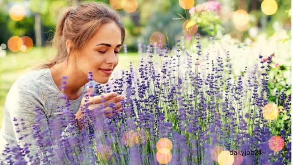 Best plants for stress relief and mental health