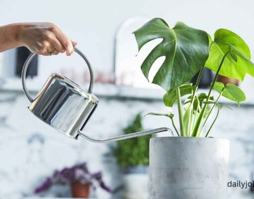 How Often Should You Water Indoor Plants? (Beginner Guide) How Often Should You Water Indoor Plants (Beginner Guide)
