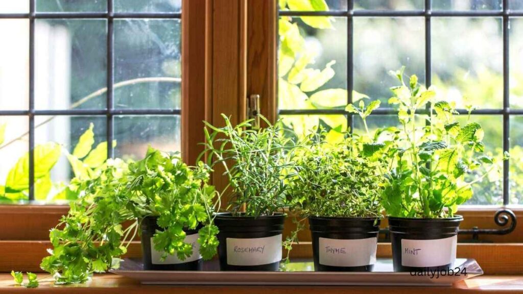 Plants That Grow Fast at Home