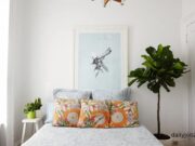 Top Indoor Plants for Bedrooms (Better Sleep) Top Indoor Plants for Bedrooms (Better Sleep)