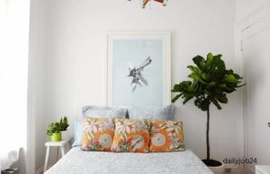 Top Indoor Plants for Bedrooms (Better Sleep) Top Indoor Plants for Bedrooms (Better Sleep)